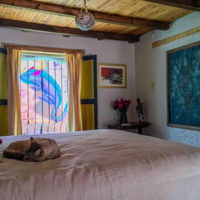Апартаменты Casa Cerrillo Сан-Кристобаль-де-Ла-Касас Экстерьер фото